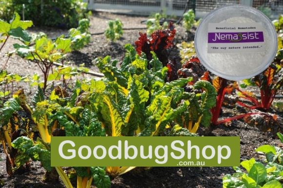 The Goodbug Shop Showcasing the Nemassist Range